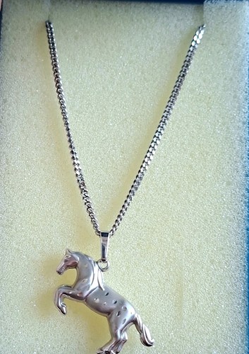 Silber halskette mit - halskette,